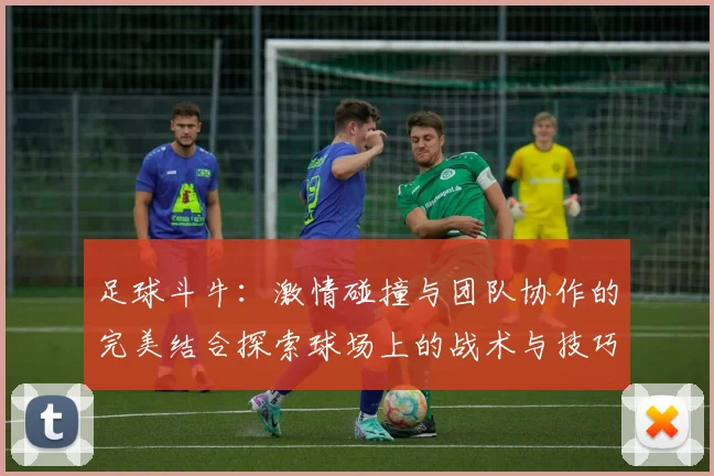 足球斗牛：激情碰撞与团队协作的完美结合探索球场上的战术与技巧