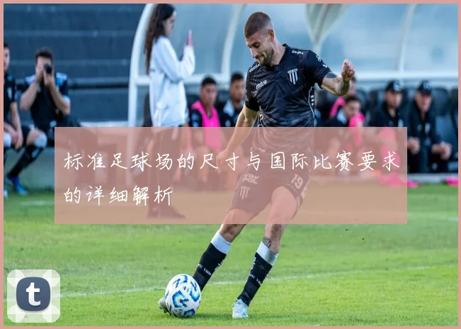 标准足球场的尺寸与国际比赛要求的详细解析