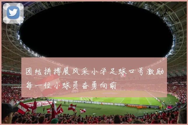 团结拼搏展风采小学足球口号激励每一位小球员奋勇向前