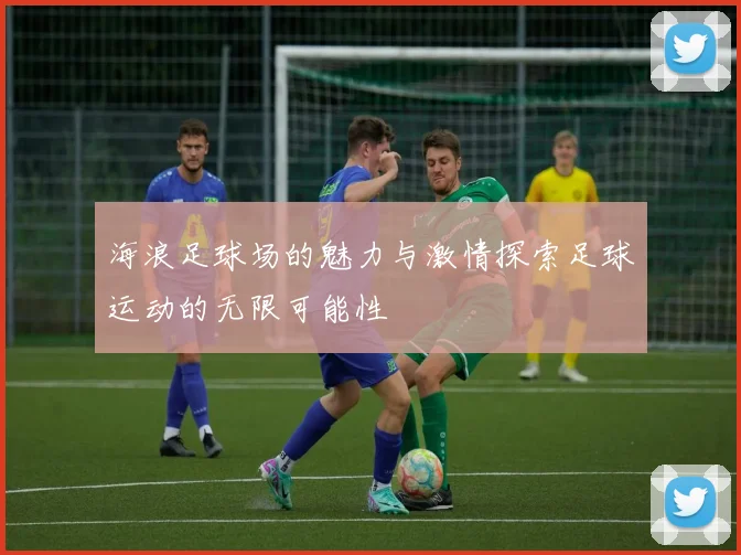 海浪足球场的魅力与激情探索足球运动的无限可能性